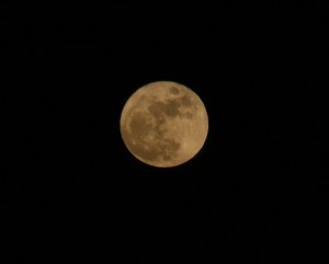 mond-09-04-2009